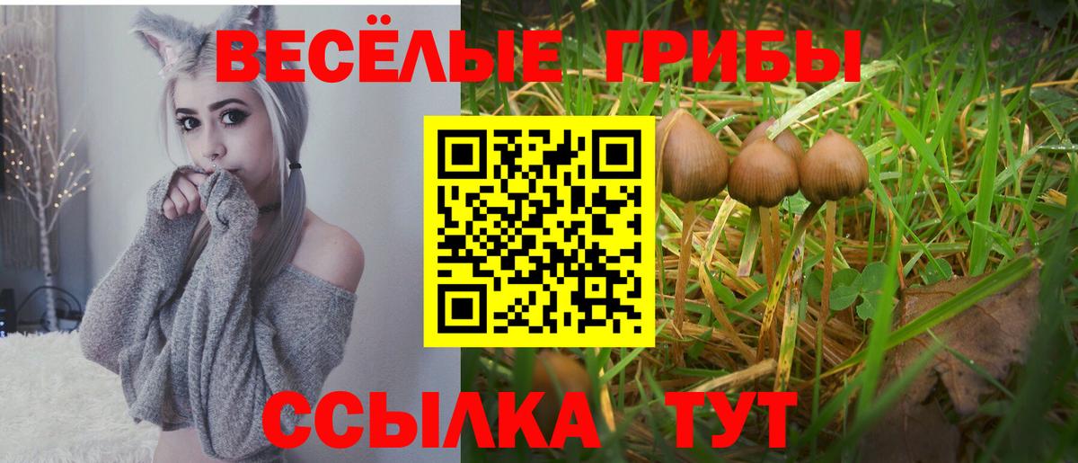 Псилоцибиновые грибы MAGIC MUSHROOMS  Вход с VPN  Чита  Галлюциногенные грибы Psilocybe 