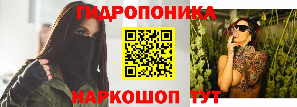 Бошки Шишки гибрид Чита